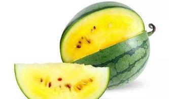 网红吃瓜送什么礼物好,这份礼物让你成为焦点！