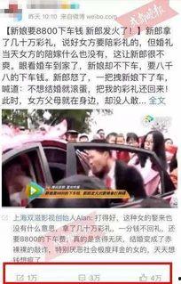 成都爆料大全视频,揭秘城市热点事件背后的真相